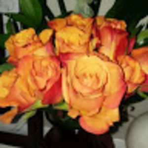 Meet your Posher, Sandy